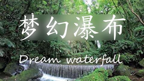 拯救胖男孩